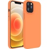 Kumquat
